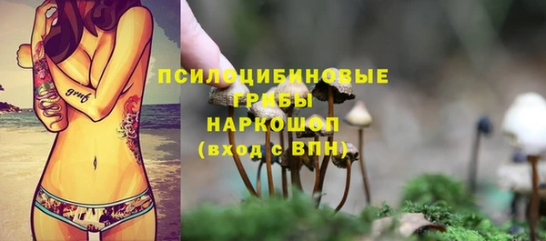 дживик Долгопрудный