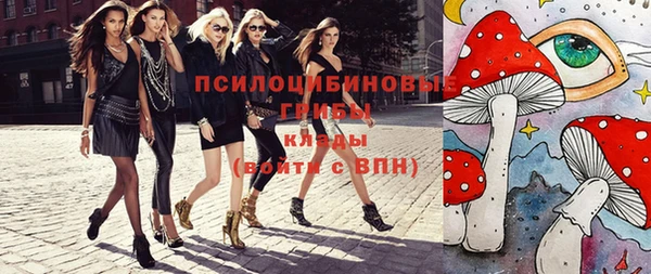 гидра Михайловск