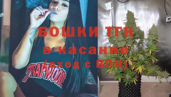 гидра Михайловск