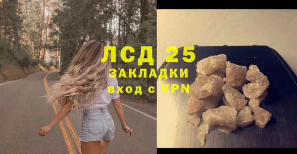 гидра Михайловск