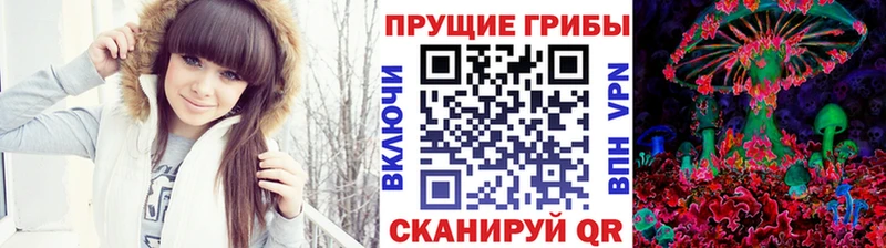 даркнет сайт  ссылка на мегу вход  Галлюциногенные грибы прущие грибы  Таганрог 