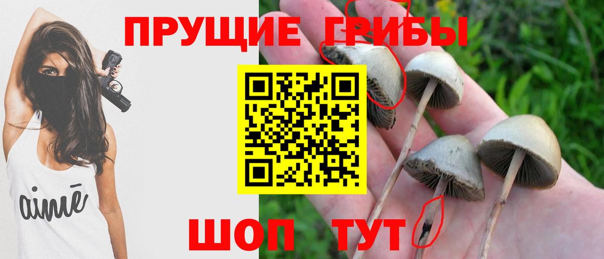 Таганрог  Галлюциногенные грибы ЛСД  Вход с VPN 